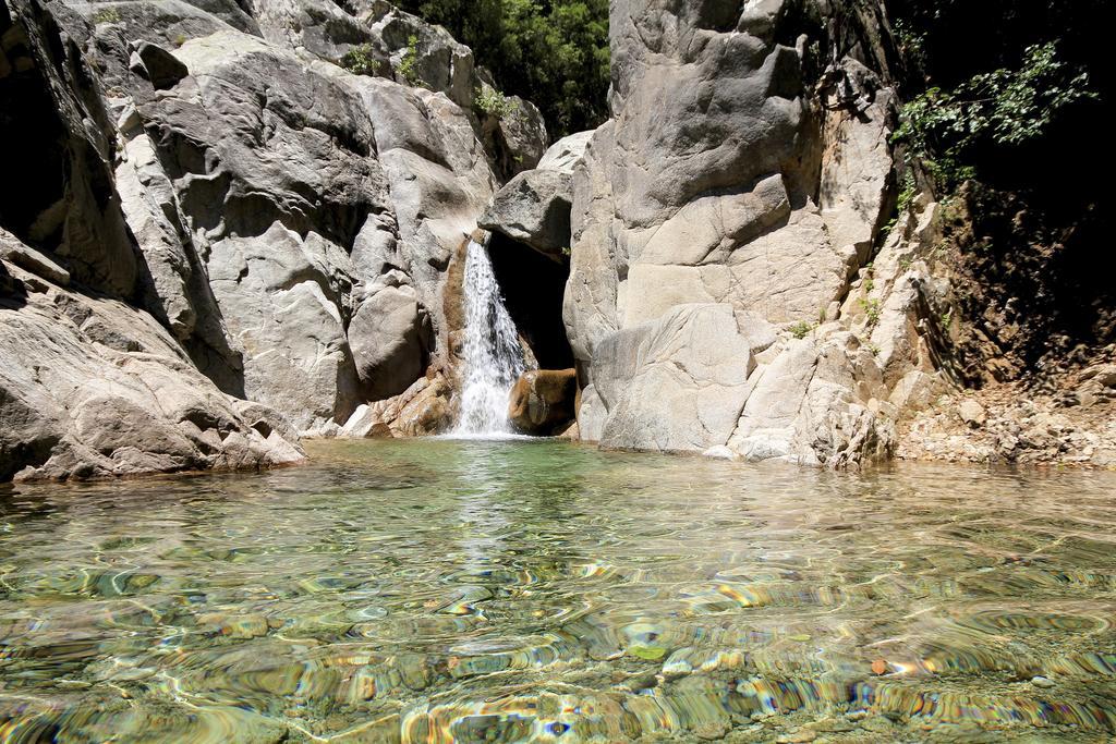 Olivese Gite Du Chalet Pietri מראה חיצוני תמונה