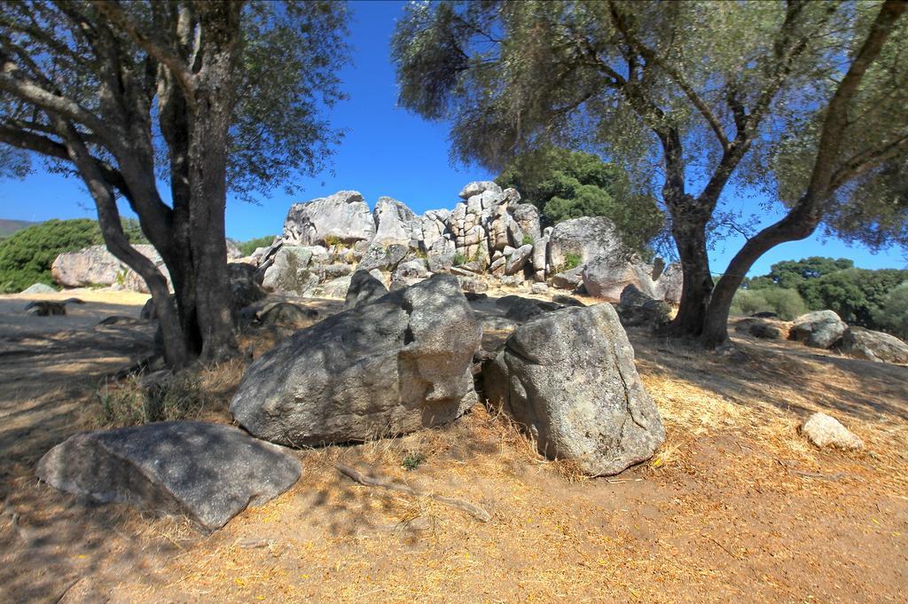 Olivese Gite Du Chalet Pietri מראה חיצוני תמונה