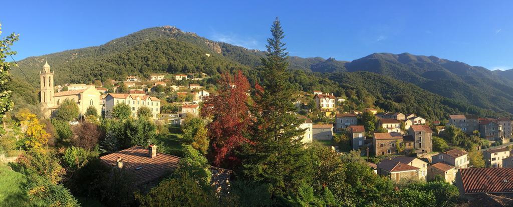 Olivese Gite Du Chalet Pietri מראה חיצוני תמונה