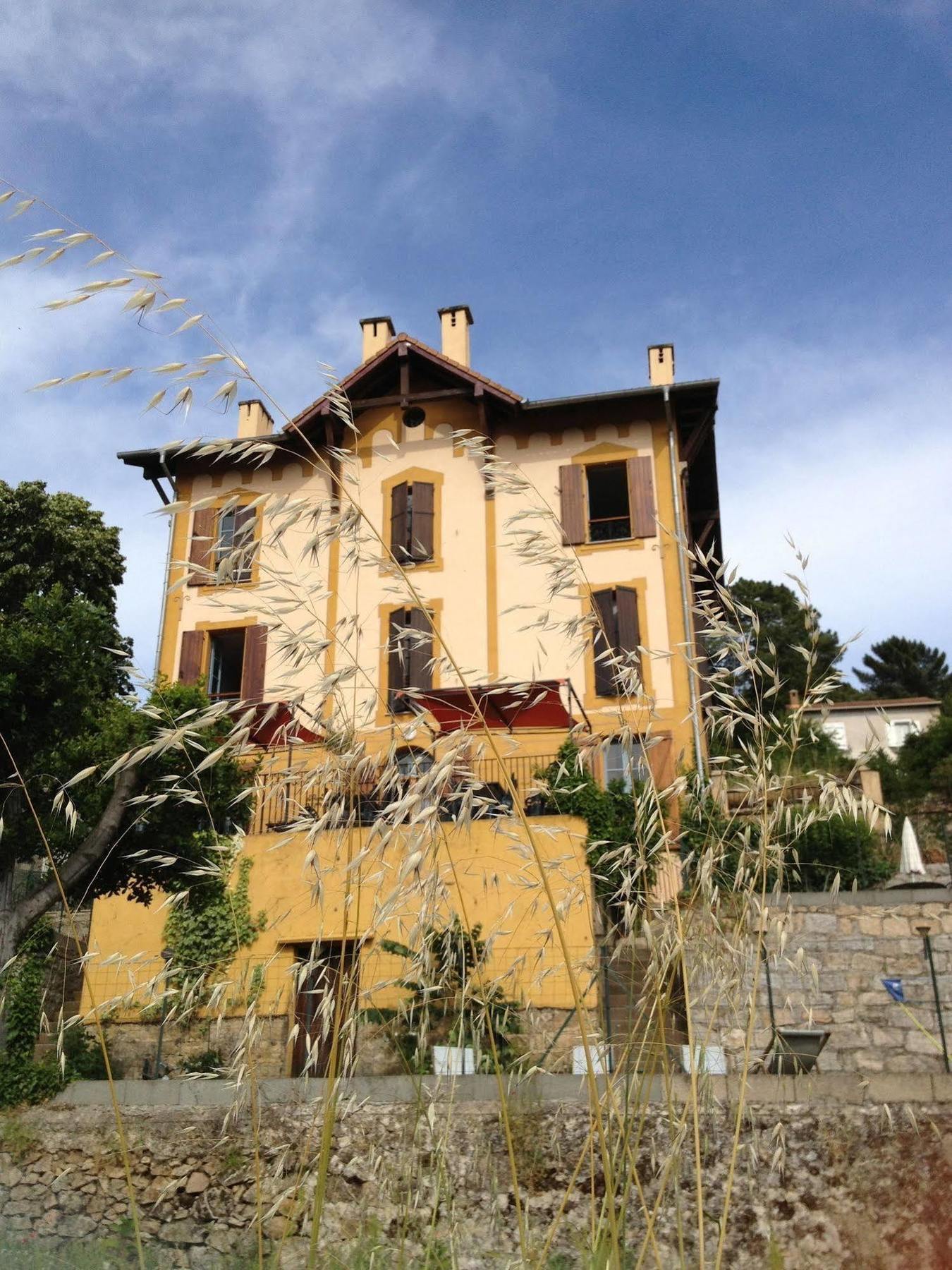Olivese Gite Du Chalet Pietri מראה חיצוני תמונה