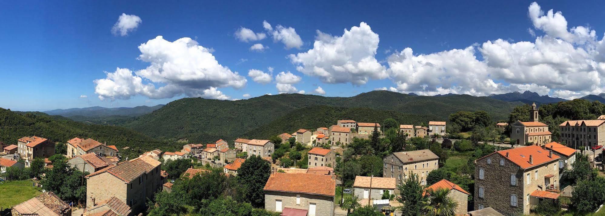 Olivese Gite Du Chalet Pietri מראה חיצוני תמונה
